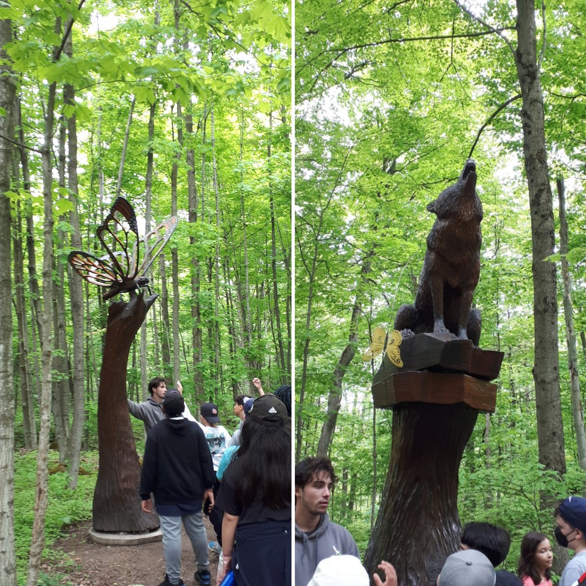 mrs_kitney's tweet image. Great day at Crawford Lake with Mrs. Charrey's Grade 5 class! Too many #funfacts to list! @SebastianDPCDSB #EXCELclass