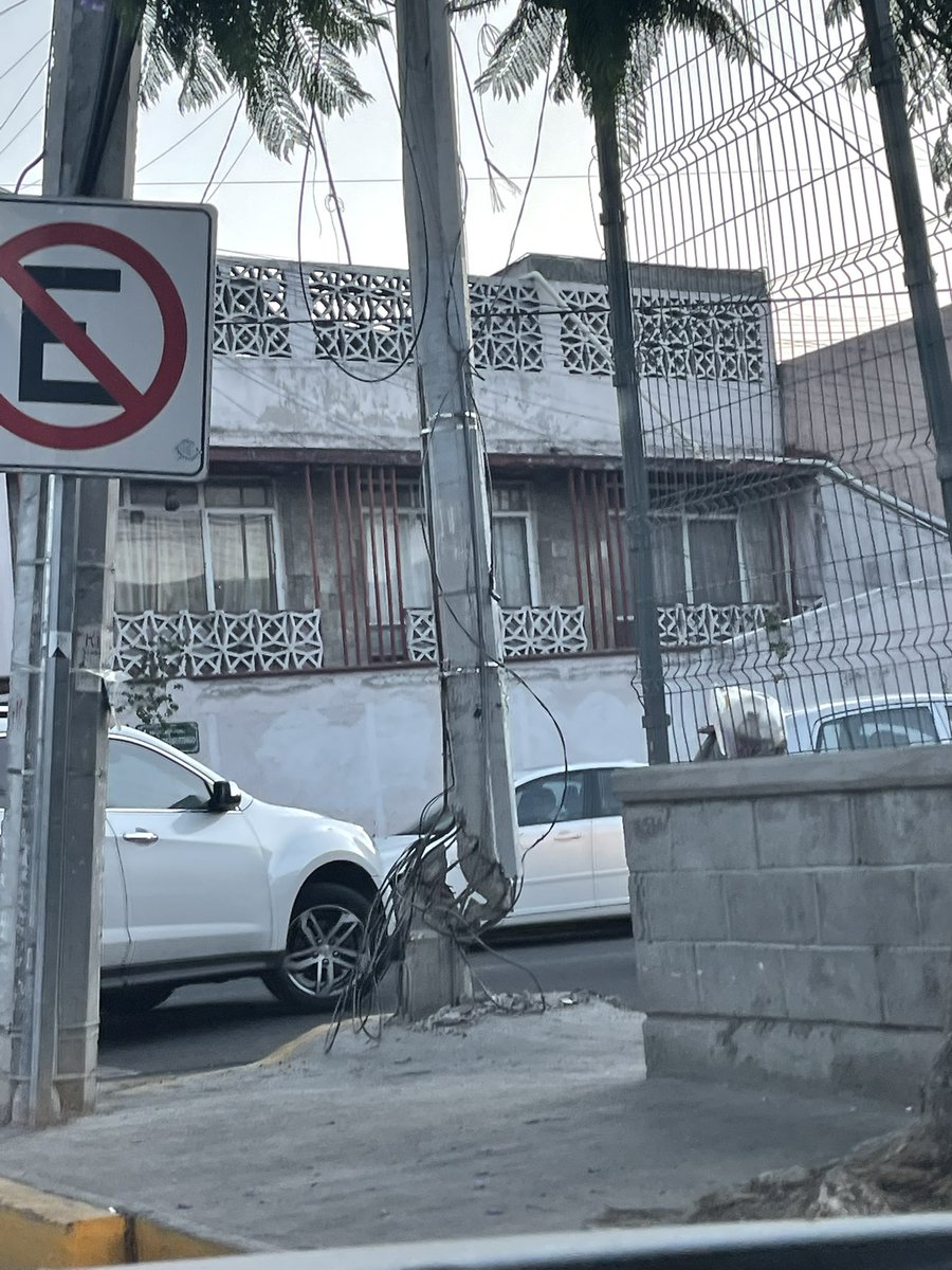 Ana Laura Pérez Zea tweet media