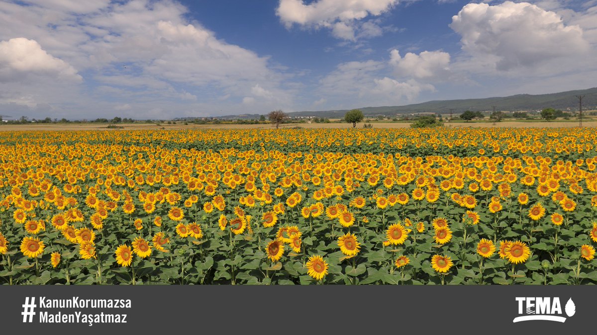 Bunu görmediğim bir yaşam düşünemiyorum ama bunun için bu alanların korunması lazım! #KanunKorumazsaMadenYasatmaz