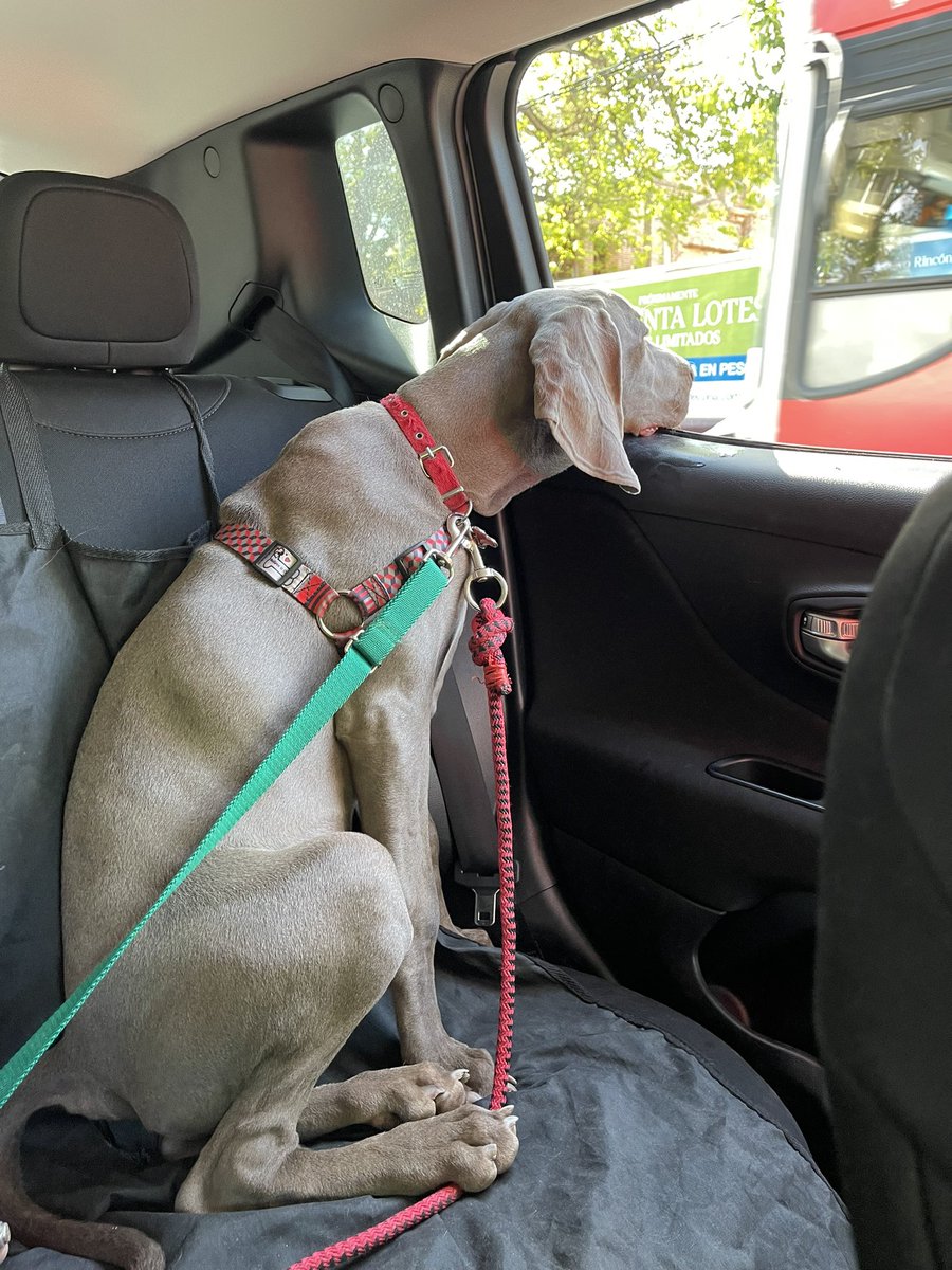 #liberenacoco asesinos!!