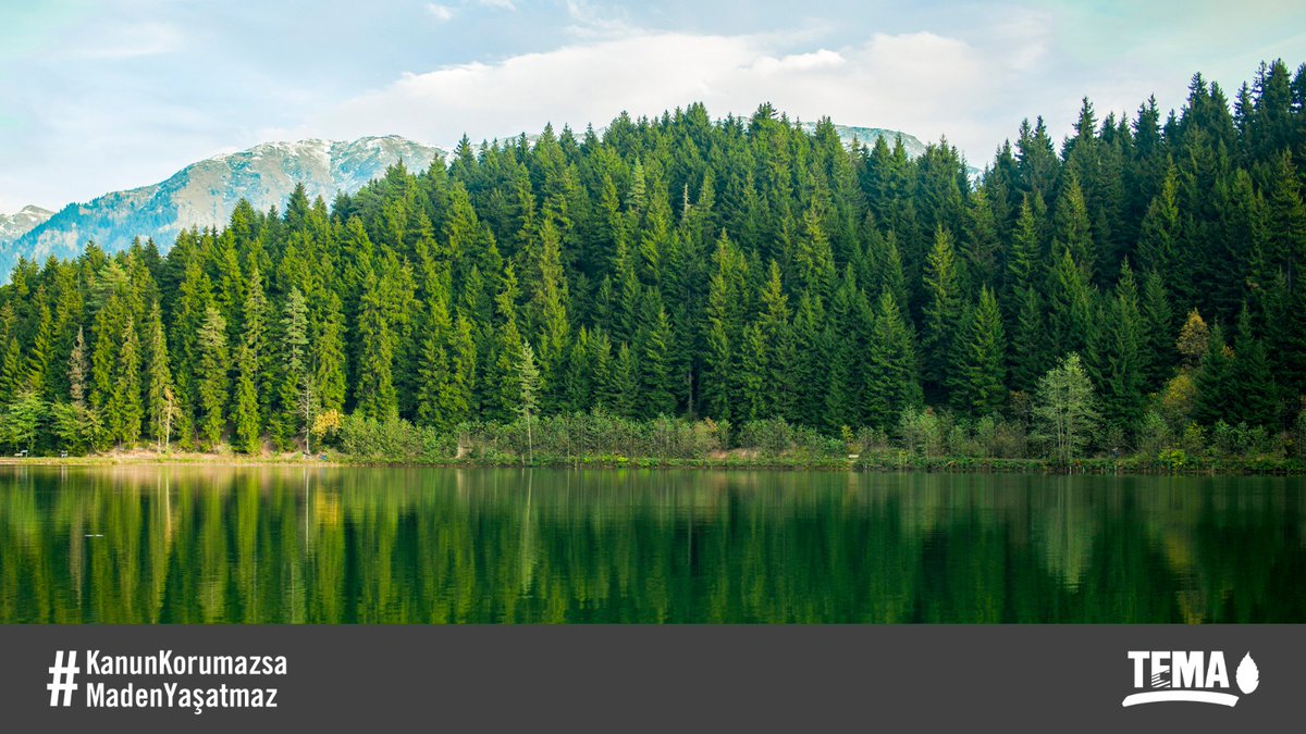 Bence hangi manzarayı tercih edeceğimiz çok açık ve net bir şekilde ortada. Bu alanların hiçbiri maden uğruna kaybedilemez! #KanunKorumazsaMadenYasatmaz