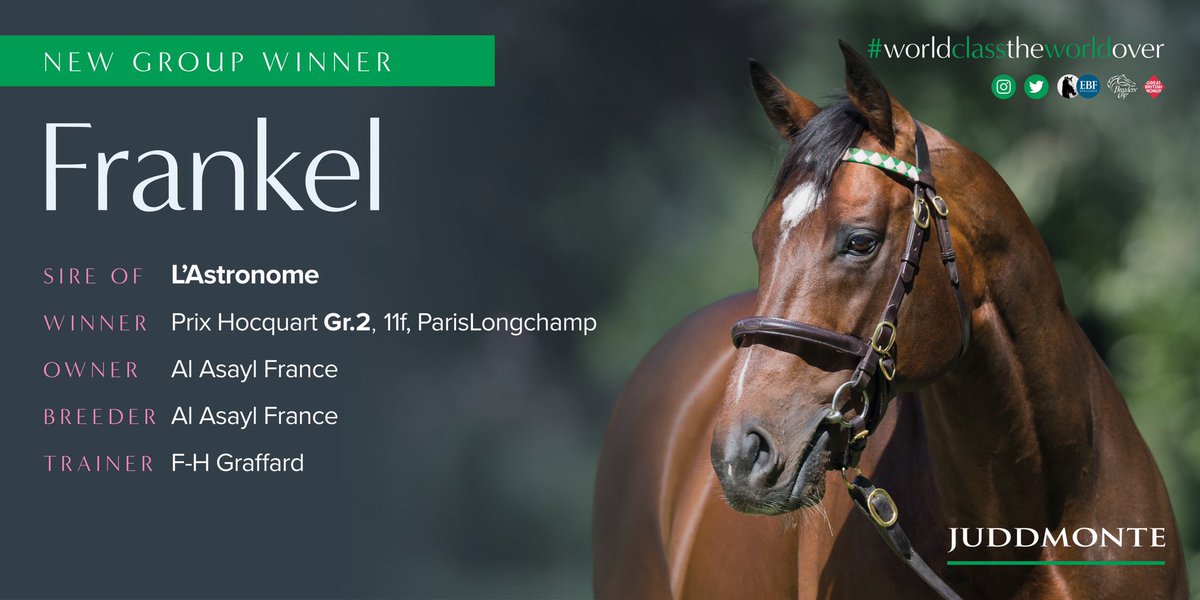 JuddmonteFarms's tweet photo. L’Astronome out-battled Galaxie Gold to win the Gr.2 Prix Hoquart this evening @ParisLongchamp, his third successive win and another new Group winner for his sire FRANKEL #FrankelWatch https://t.co/mRbzM7GZt9