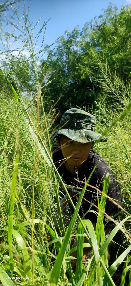 阿霖仔不是桂林仔 tweet media