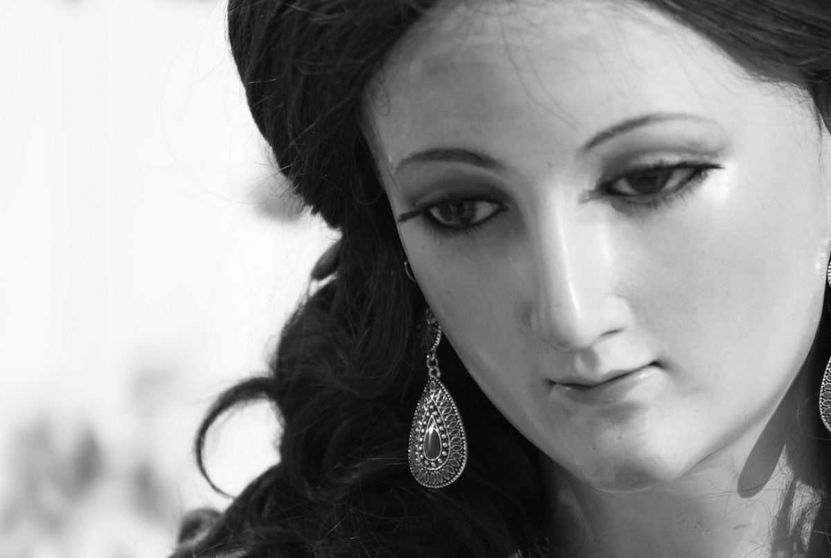Madre del Cordero de Dios que quitas el pecado del mundo, ruega por nosotros.