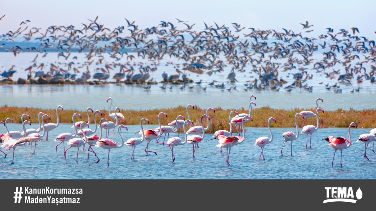 BU GÜZELLİĞİ KİM NEYE, NASIL DEĞİŞEBİLİR Kİ?! KORUYACAĞIZ, YAŞATACAĞIZ, ELİMİZDEN GELENİ YAPACAĞIZ!! #KanunKorumazsaMadenYasatmaz