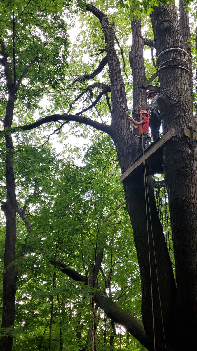amhamrick1's tweet photo. Zip line this morning @Otsego_Grade6 https://t.co/7TKzDyaJ7L