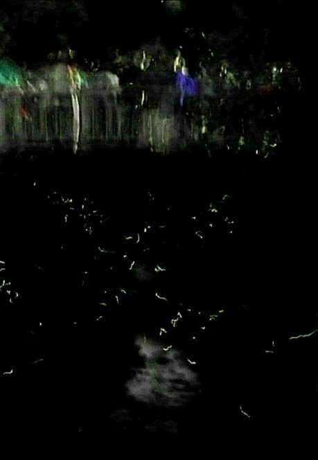 Simon Lorimer tweet media