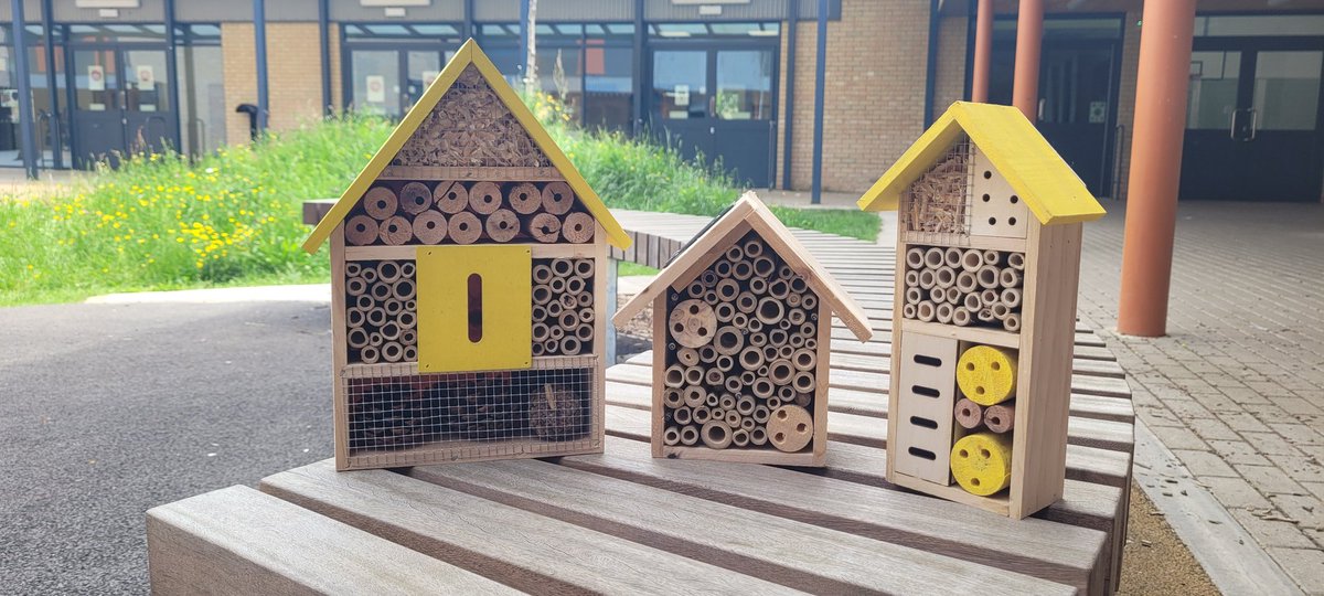 LanghamOaks's tweet photo. The @LanghamOaks #PlatinumJubilee Wildlife Garden🌻 takes delivery of 3 new Bug Hotels 🐝 https://t.co/cYJzotOT1H