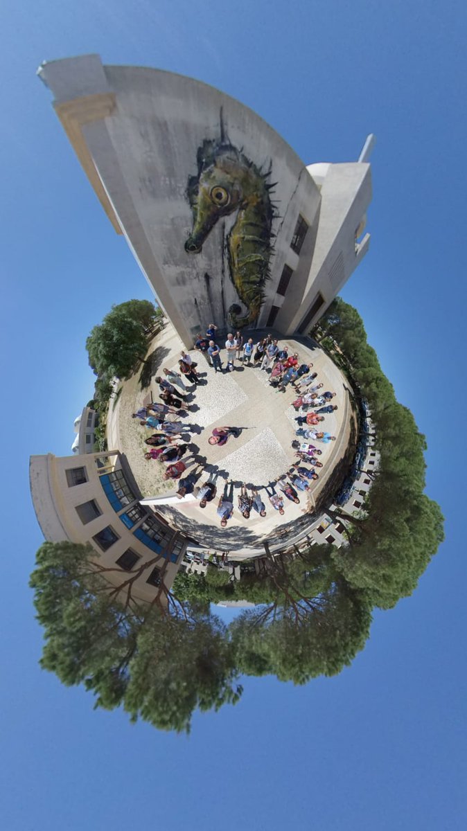 CIM_Uvigo's tweet photo. 😎 Son uns días nos que continuar facendo comunidade e traballando para apoiar 💪 a investigación de vangarda en #bioloxíamariña!!!
@uvigo @EMBRC_EU #investigación #comunidade #damandyz https://t.co/QtSYwRKjJ5