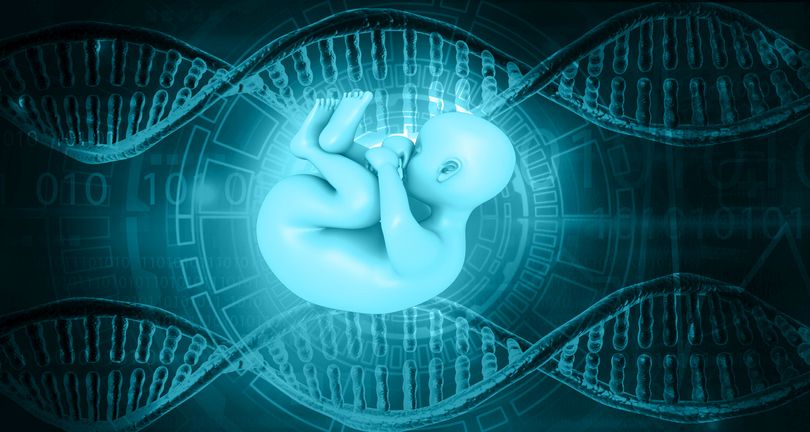 GIMJournal's tweet photo. What is the prenatal phenotype of Coffin-Siris syndrome? #ARID1A #BAFComplex #Fetal #SMARCA4 #SMARCB1 https://t.co/h74Q5HN5bb https://t.co/ilppDjmrgD