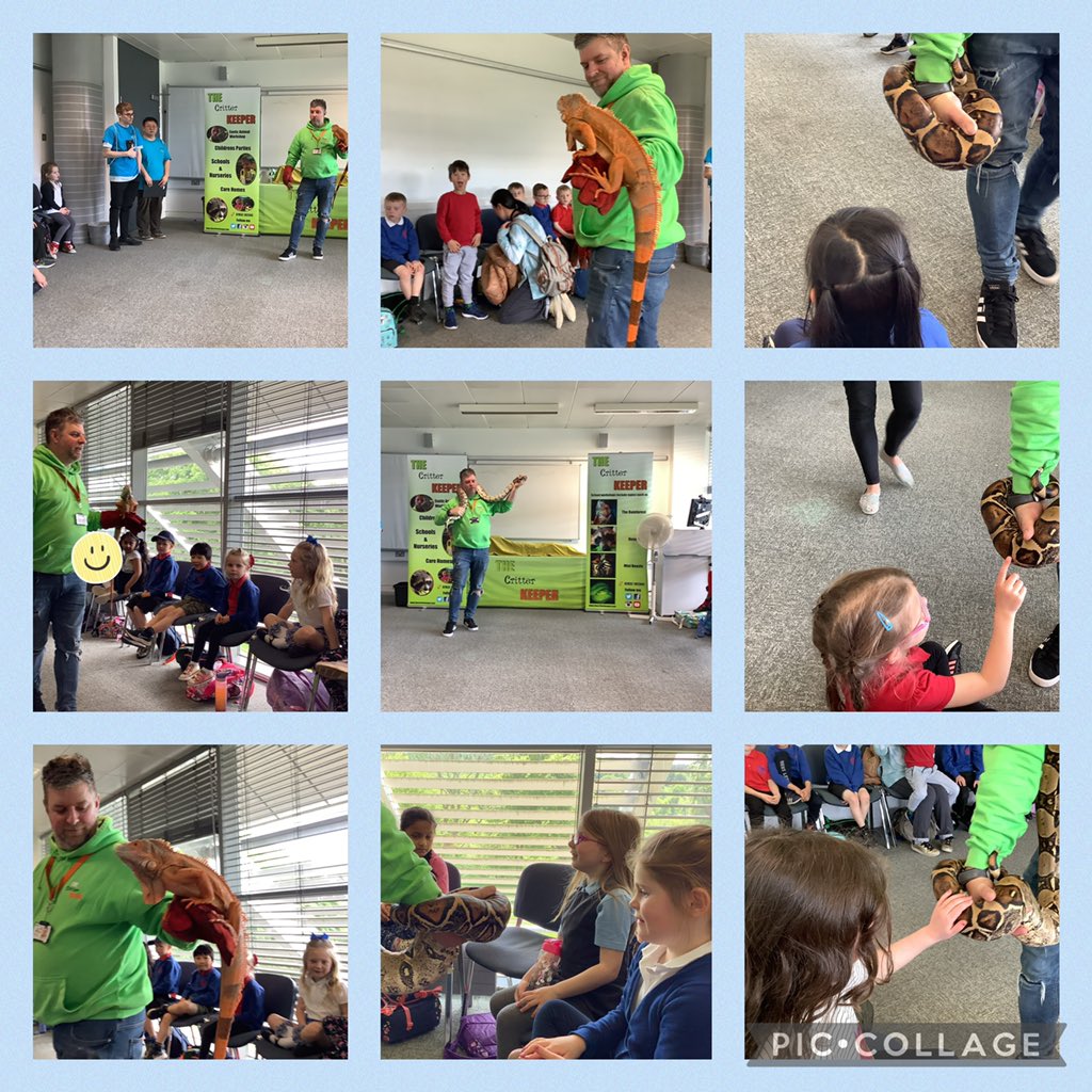 Our final workshop of the day at #TechFestFest2022…a trip to the rainforest! Thank you to the <a href="/T_CritterKeeper/">The Critter Keeper</a> for showing us so many wonderful animals and telling us some super facts! 😃👍 <a href="/Miss_L_Forehill/">Miss Lloyd P2</a> <a href="/ForehillSchool/">Forehill School</a>