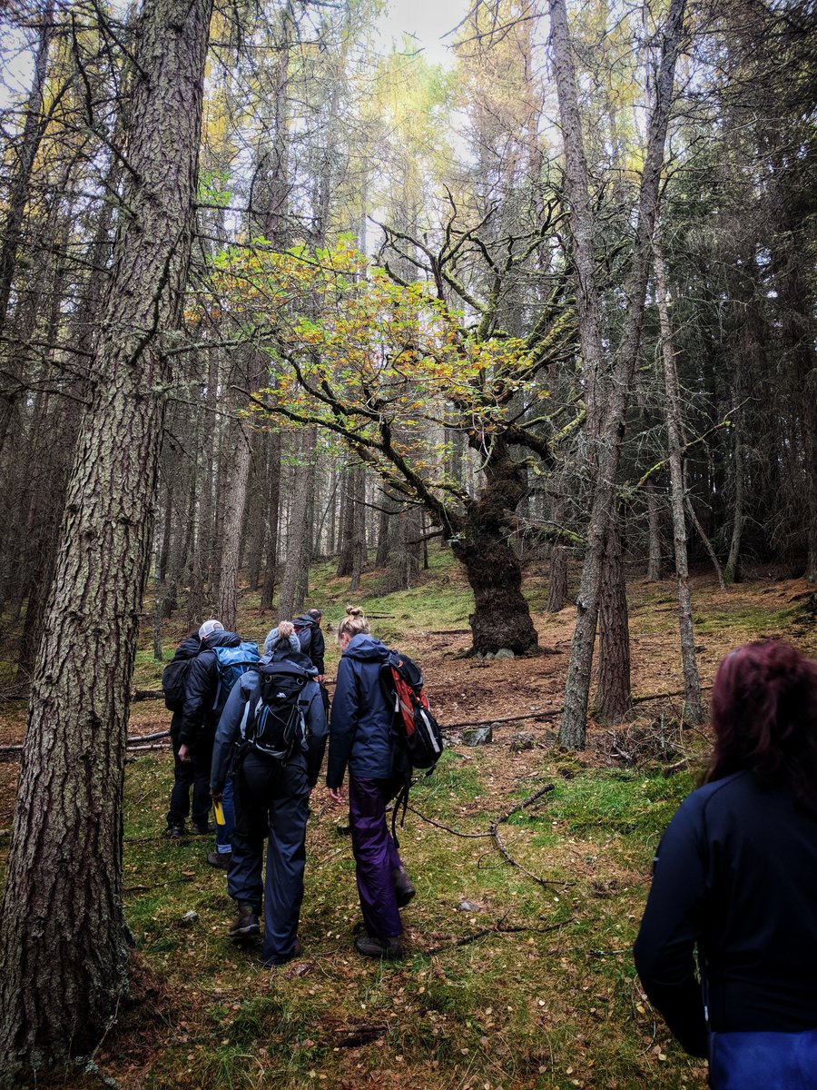 Outdoor & Environmental Education Programmes, UoE tweet media