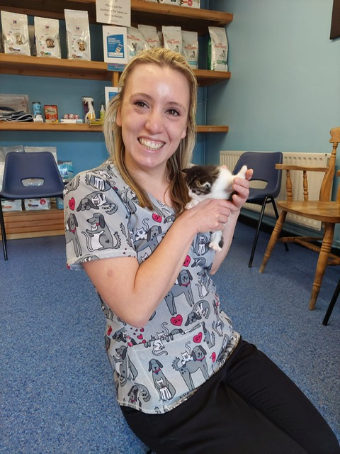 VillageVets ChFord tweet media