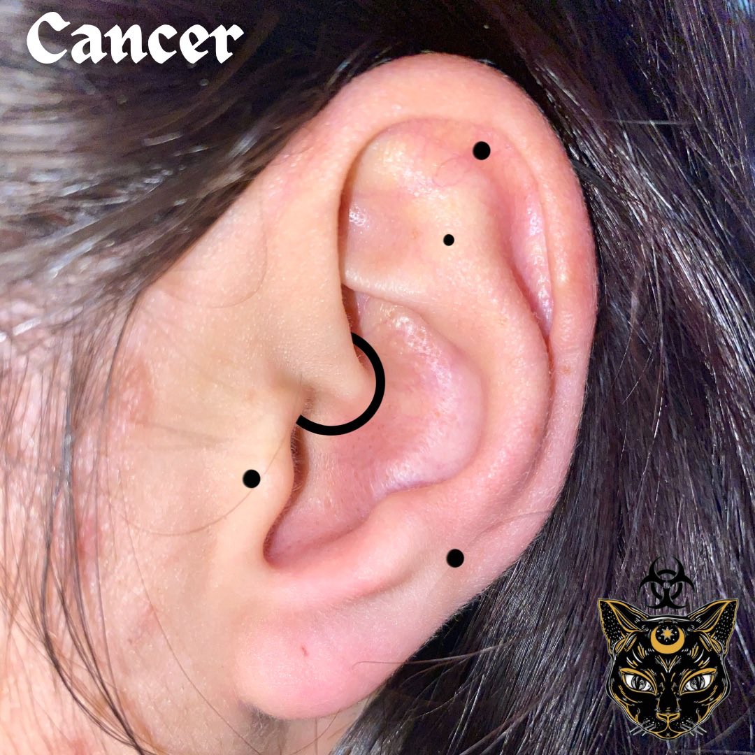 PricksByKitten's tweet photo. Some cute little zodiac constellation curations ✨ 
#zodiac #Aries #Taurus #Cancer #Leo https://t.co/iriWEOrqoP