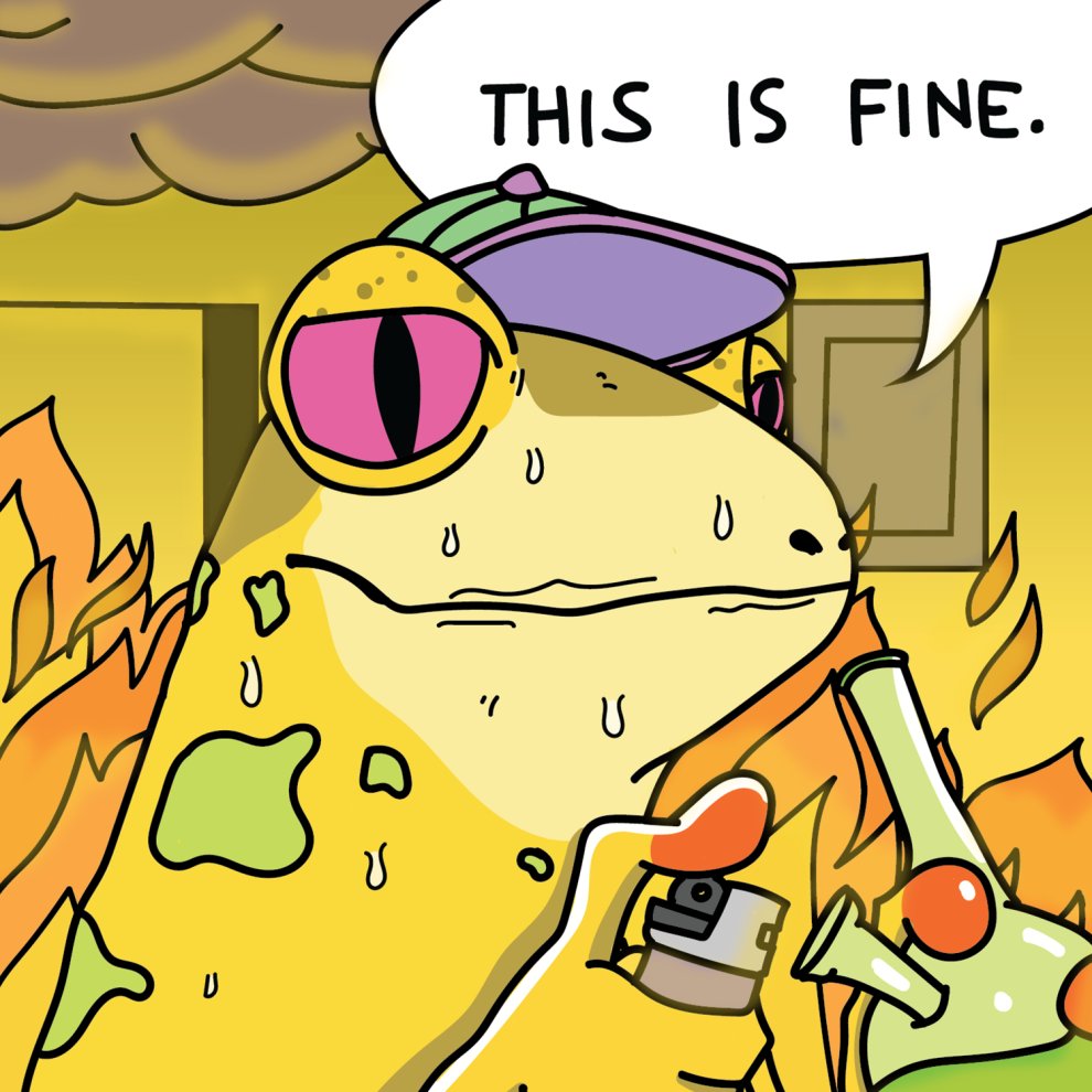 The Stoned Frogs tweet media