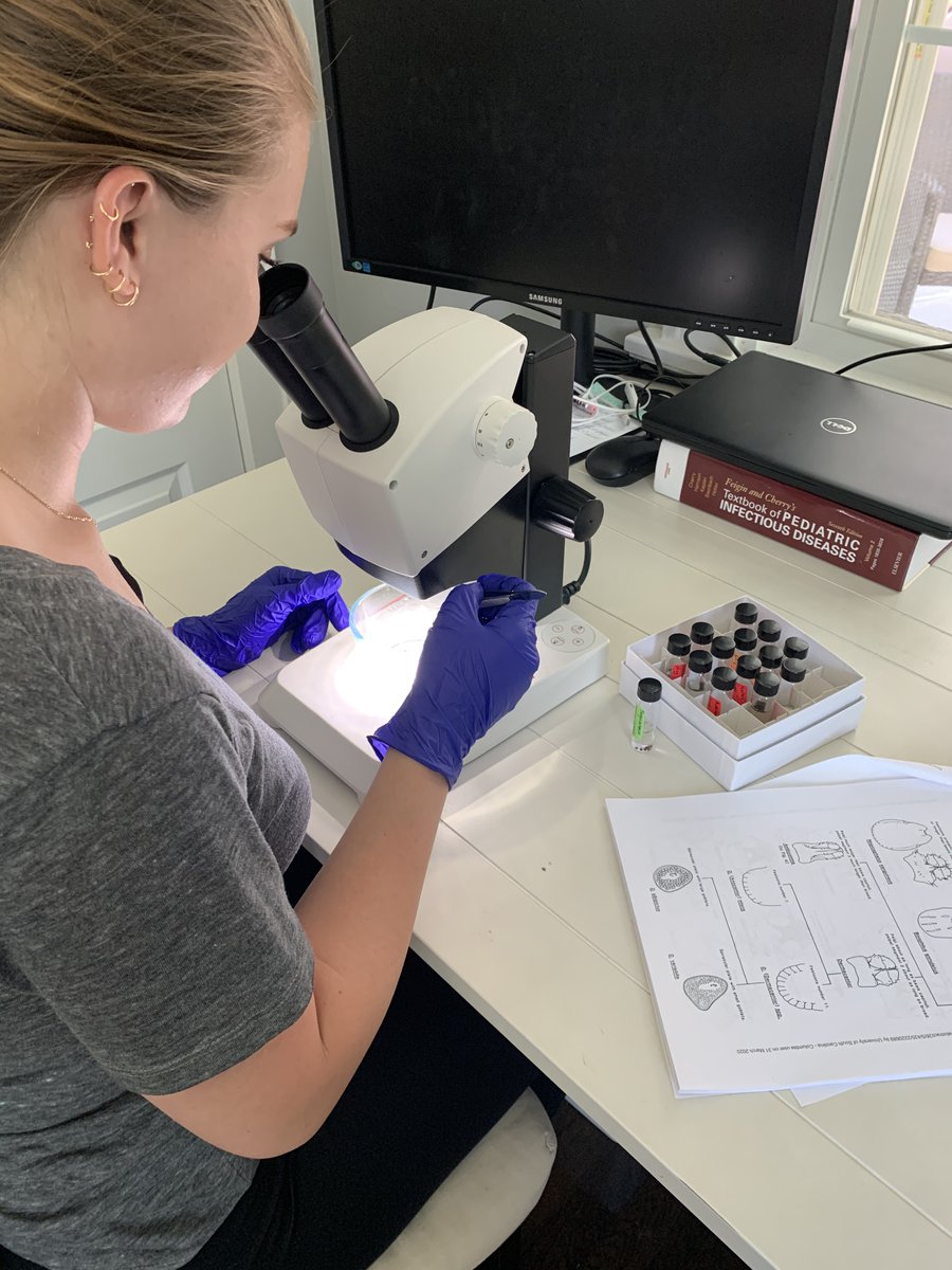 Emerging Pathogens Institute (@uf_epi) on Twitter photo The @FL_VBDCoE has partnered with researchers from <a href="/ODU/">Old Dominion University</a>, <a href="/UofSC/">University of South Carolina</a> and <a href="/GADPH/">GaDeptPublicHealth</a> to conduct target tick sampling along shared interstate border counties. About 20,000 ticks were collected and are currently undergoing a multi-center pooled screening for Rickettsia and Ehrlichia species. The @FL_VBDCoE has partnered with researchers from <a href="/ODU/">Old Dominion University</a>, <a href="/UofSC/">University of South Carolina</a> and <a href="/GADPH/">GaDeptPublicHealth</a> to conduct target tick sampling along shared interstate border counties. About 20,000 ticks were collected and are currently undergoing a multi-center pooled screening for Rickettsia and Ehrlichia species.