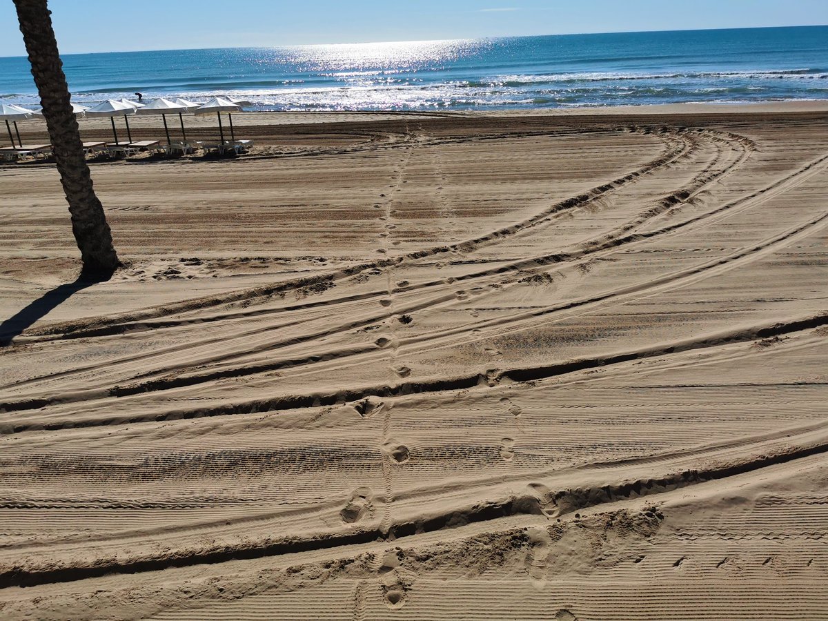 jipagan_'s tweet photo. Jornada de trabajo de campo realizando el seguimiento del estado de las playas de Guardamar. En playa #ElsVivers 0m ancho de playa y la retro retaluzando y haciendo retroceder aún más la cresta de la mota @luisbanon... En #PlayaCentro parece más estable, a ver qué dice el GPS🛰️ https://t.co/KoB4PF31TI