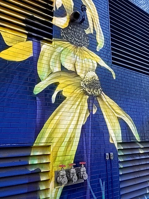 defihotaf's tweet photo. worththefightboxing found #ethereum in a User vault at this location! Join me playing #coinhuntworld, It's awesome! https://t.co/dFhLz1zz4p #cryptocurrency #109382 #denver #steppn #pokemongo https://t.co/23GugnR1We