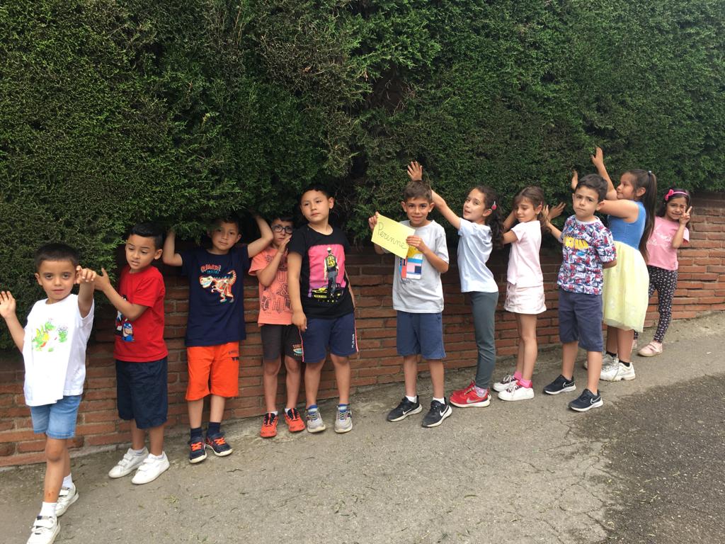 joanpacn's tweet photo. A 1r de Primària @immaculadahorta observem i descobrim els arbres amb fulla caduca I fulla perenne de la nostra escola! https://t.co/MK8WfpQ6av
