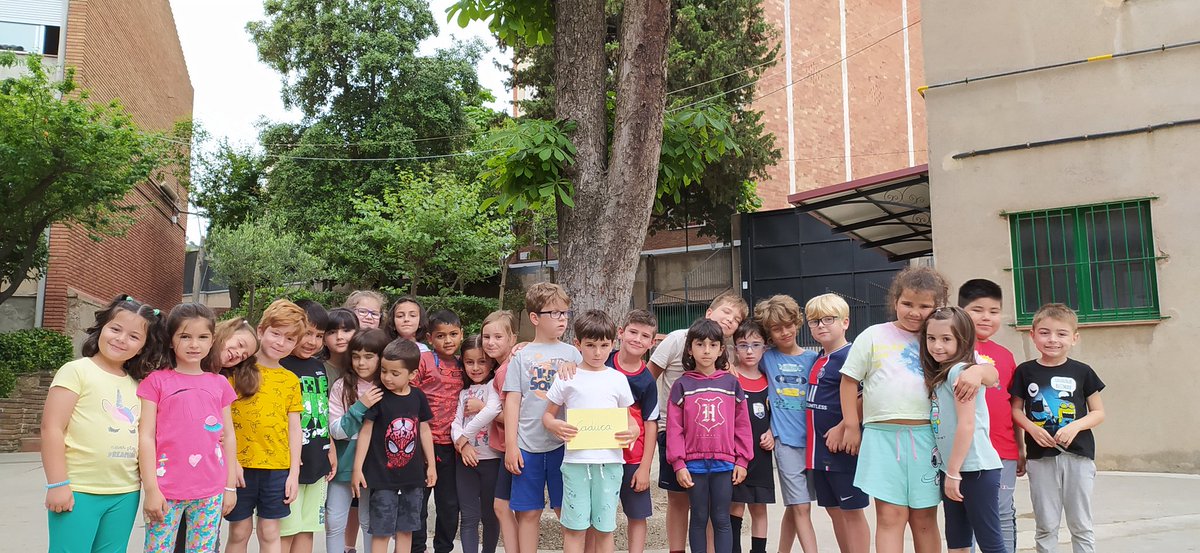 joanpacn's tweet photo. A 1r de Primària @immaculadahorta observem i descobrim els arbres amb fulla caduca I fulla perenne de la nostra escola! https://t.co/MK8WfpQ6av