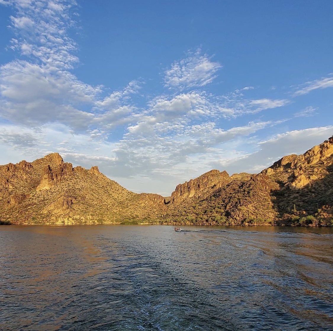 Beautiful sightseeing tours daily ⛴

📸: @eschmidttxbonsai