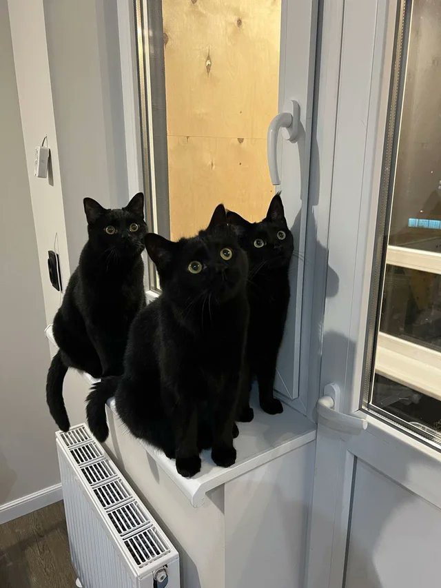 The void requires noms