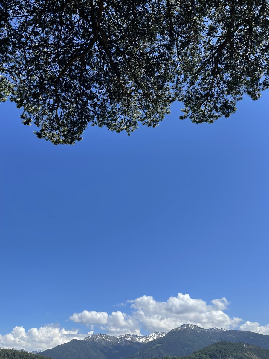 La nature est belle 🤩