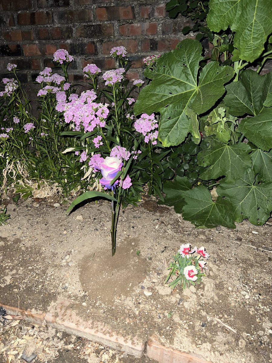 #LOVE_YOUR_BLACK_HEART 

유월플라워 스튜디오 갔다 제왑 앞 예지 광고도 보고 집 앞 텃밭 까지 잘 모셔다 뒀습니다 ㅎㅎ 이벤트 열어주셔서 감사합니다☺️