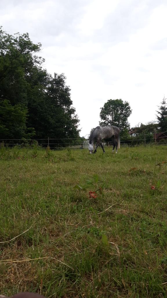 Nichts tun mit Aussicht.