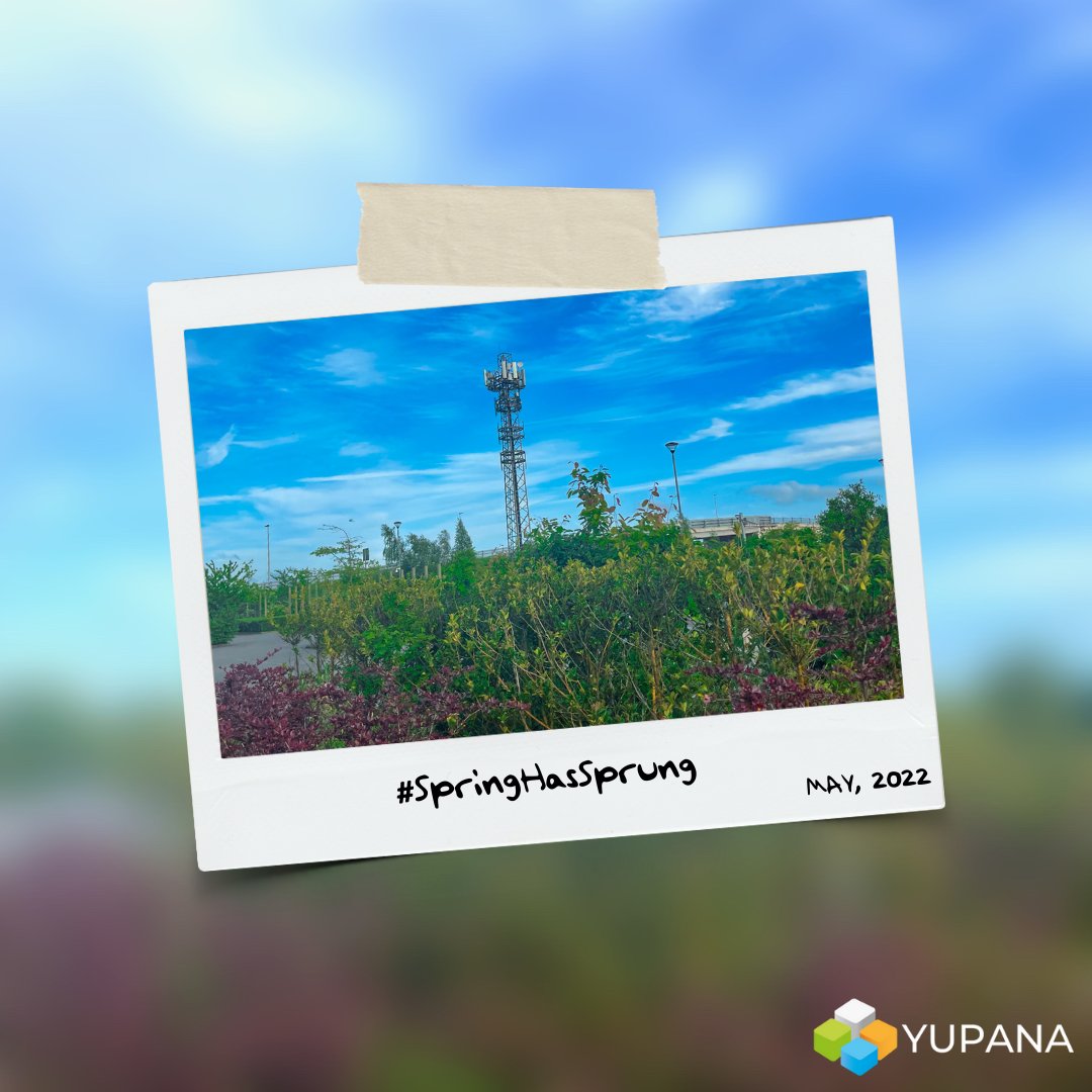 Yupana Inc tweet media