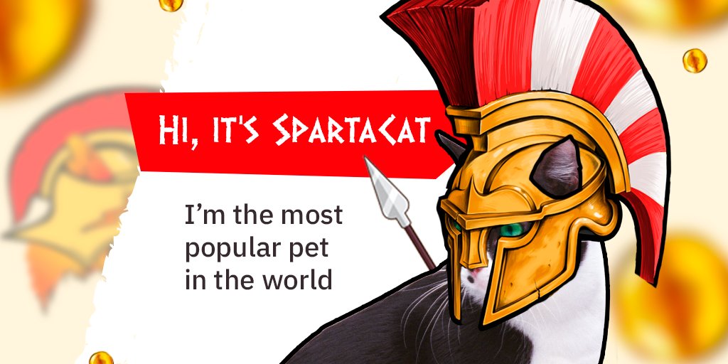 CatsSparta's tweet image. Hi, it’s MEoow 😸 
I’m SpartaCat and I’ll be in touch with you 🐾

Crypto World &amp;amp; Cats World without dogs, if u know what I mean 😼

Let’s grow, have fun, and benefit together!

#NFT #dogecoin #catlovers #cryptocoin