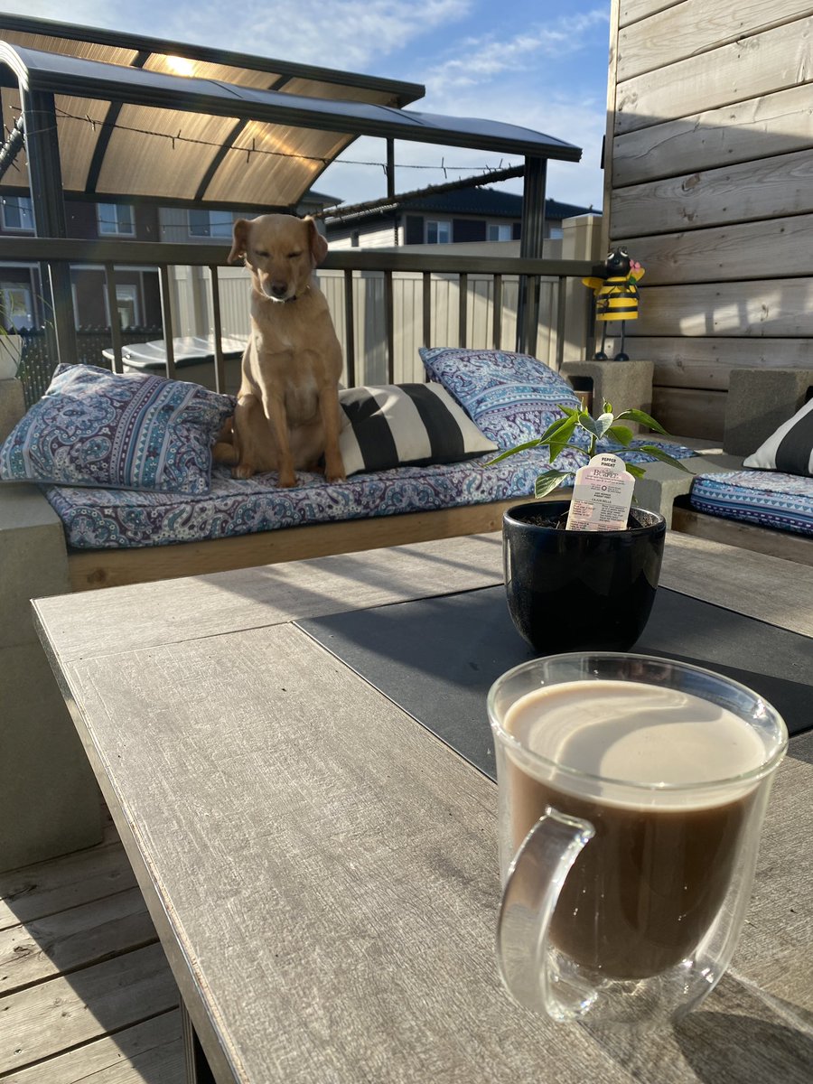 #thursdaymorning #thursdayvibes