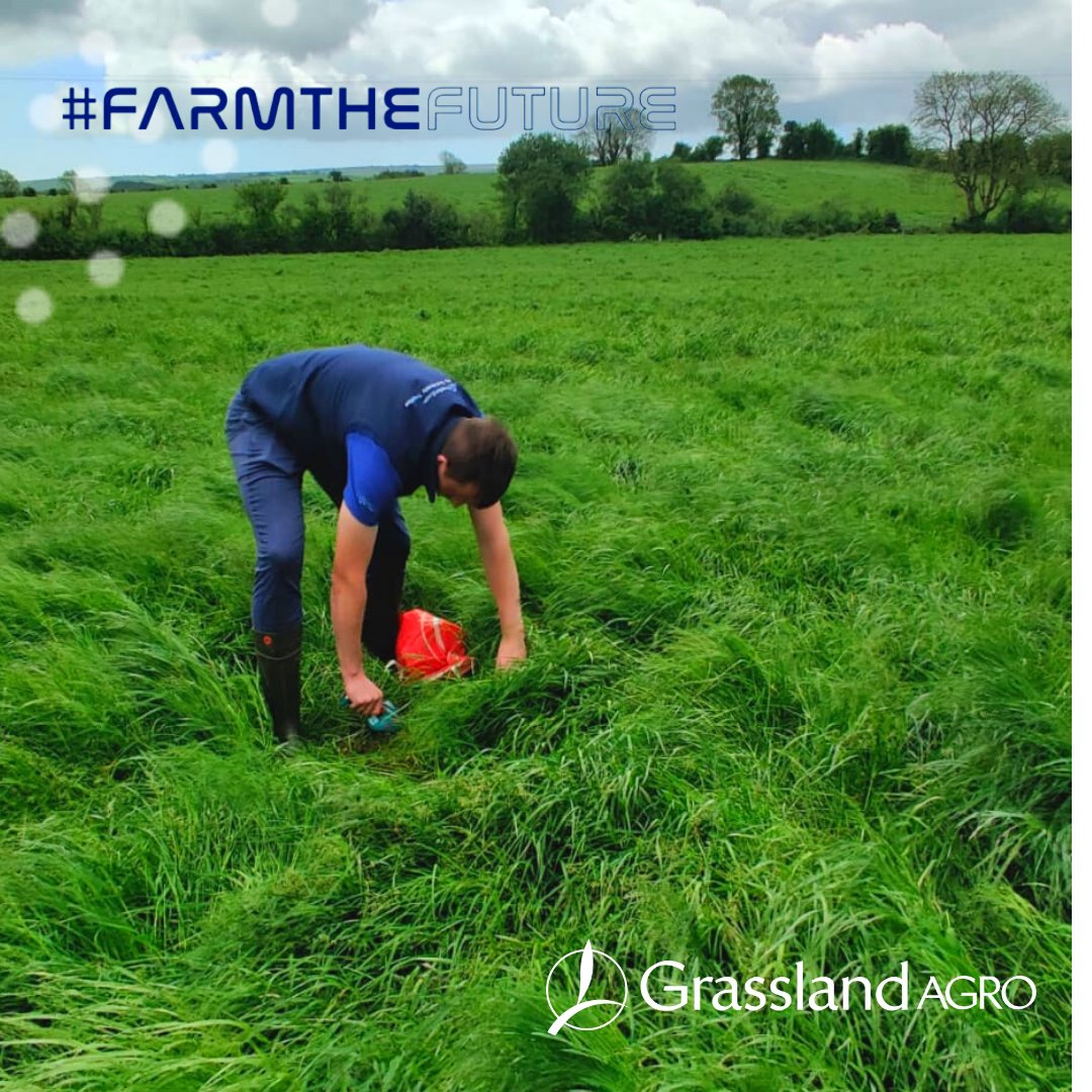 Grassland Agro tweet media