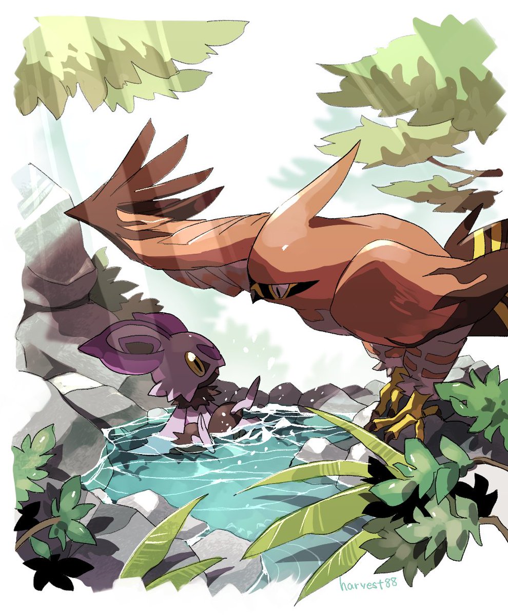 pokemon (creature) no humans water outdoors day rock bird  illustration images