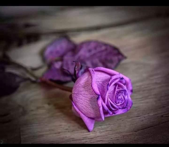 Night promo🥀
@Ash_rooj @1hma11 @NZPAK_ <a href="/_paro1/">𝐐𝐮𝐞𝐞𝐧_קαг𝑜♡</a> <a href="/1fzall/">فـضـ𝓐𝓴𝓫𝓪𝓻ل</a> <a href="/Azix103/">𝐀𝐳𝐢𝐳 𝐌𝐮𝐠𝐡𝐚𝐥 𝐏𝐓𝐈 (Sadaf ka 🎂)</a> @8m_vs @Lali_M5 <a href="/__Libra1/">𝚂𝚞𝚏𝚒𝚊 𝚂𝚑𝚊𝚑🍁</a> @R__ubi @1ashi_ @L_OvYou <a href="/Itx_dilkush/">(•◡•)𝓓𝓲𝓵𝓴𝓾𝓼𝓱🦋</a> @0_ur_ @Riz_71 <a href="/B__786/">•○●○•بدرا____راجپوت•○●○•</a> <a href="/_paro1/">𝐐𝐮𝐞𝐞𝐧_קαг𝑜♡</a> @Iam_Zoya0 <a href="/786H1/">Raees</a> <a href="/___Ma9ha/">MāNįHā 😻</a> @IMT9_ <a href="/akyyzzz/">jmn_kz</a> @Lalma_1 @786_m3 <a href="/26Mn4/">💞eqra💞</a> <a href="/Mu250_/">Mah-e-Mubin(واضح چاند)</a> #BBN <a href="/p_ti90/">ساحل خان PTI</a> <a href="/YM_454/">Yaseen Minhas Pakistan🇵🇰First🎖Pak Army Lover❣️</a> @Nysar7 <a href="/baw_26/">💫❤_باوا_جی_لاہور_❤✌</a> <a href="/1Aw55/">💕 ⓦᴀQᴀꜱ ⓐᴡᴀɴ 💕</a>