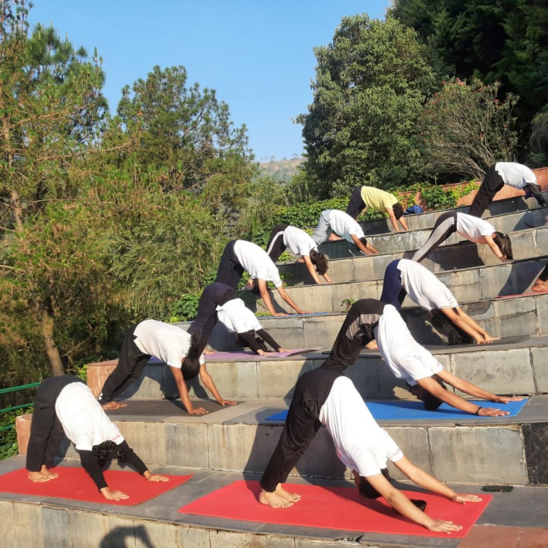 ShooliniUniv's tweet photo. Stress-Free Zone at Shoolini!
Our #ShooliniFamily always embraces Yoga for better physical, mental and spiritual health. So, here are the glimpses of today's morning Yoga session at our Open Air Theatre.
#Yoga #BAYoga #BScYoga #Yogapractice #YogaatShoolini #Top200 #THERankings https://t.co/2QHdtQ3F41