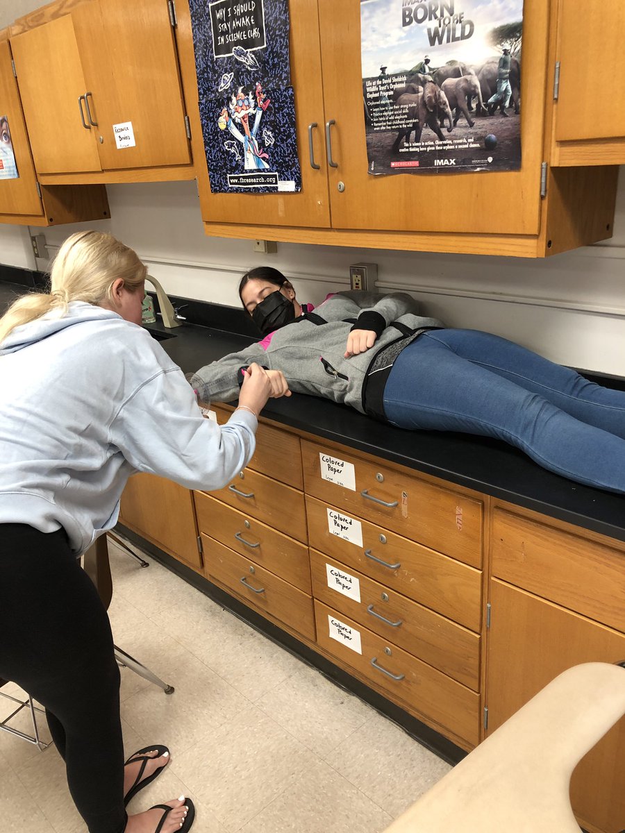 bioshemesh's tweet photo. @PLTWorg Biomed students learned how to use a #Goniometer to measure #RangeOfMotion in our unit on Muscle Movement #TrumanScience #TigerStrong #BTSDproud https://t.co/xzgkV5qi44