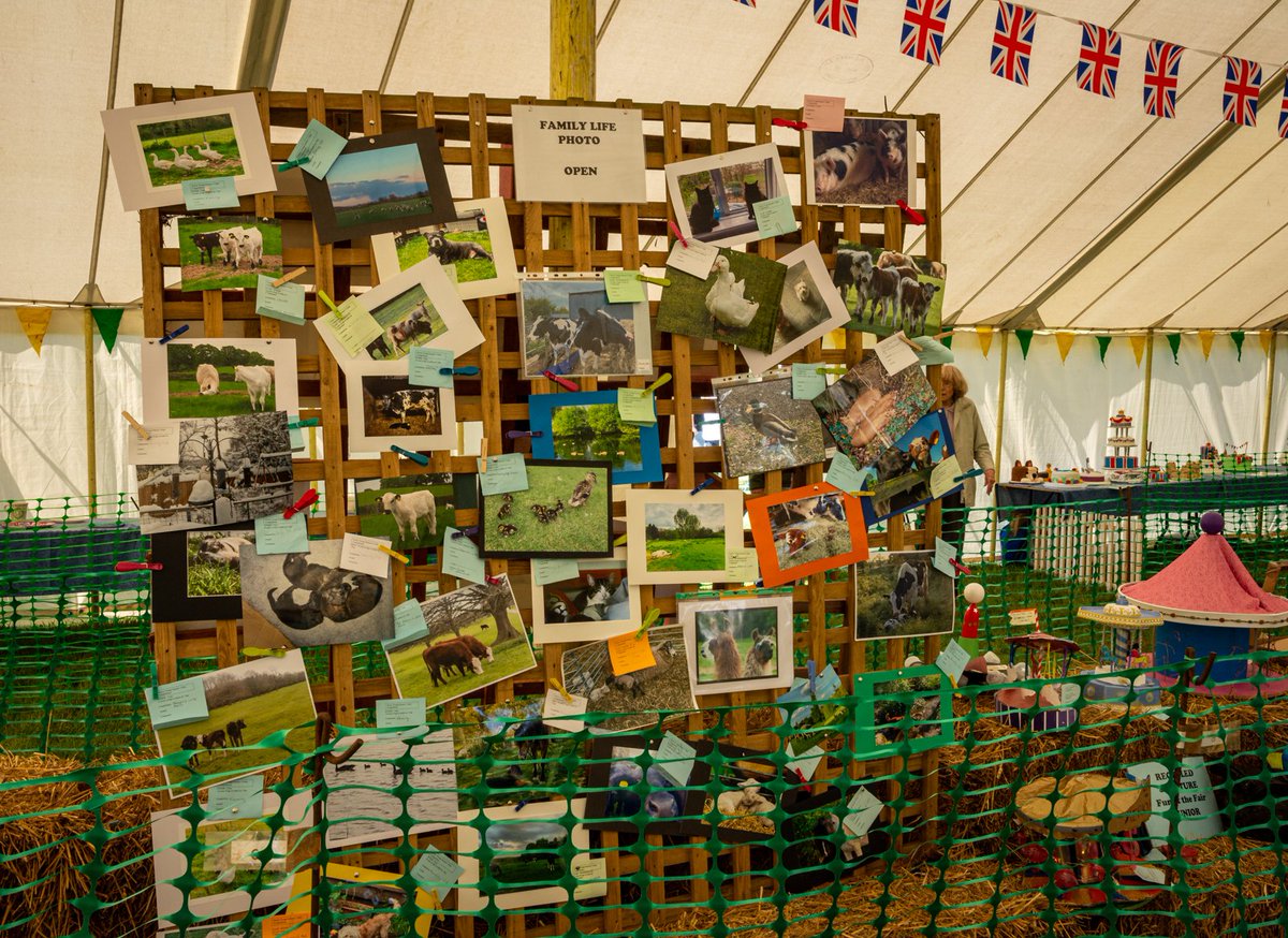 Surrey Young Farmers tweet media