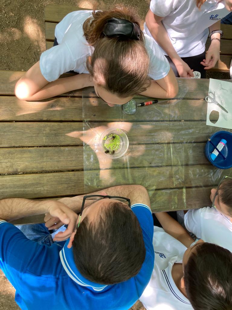 sdbpaderno's tweet photo. Al via il laboratorio di riconoscimento della fauna acquatica all'oasi Lipu di Cesano Maderno #1secondaria #alwayslearning #alwaysgrowing #alwayslearning https://t.co/lReXTFfw13