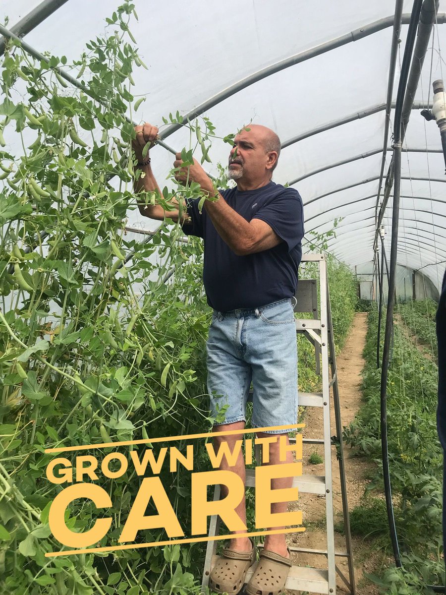 JettsProduce's tweet photo. Beyond Organic....growing for a healthier you! - https://t.co/t1dvo9TP2M https://t.co/gG3xBGmCBd