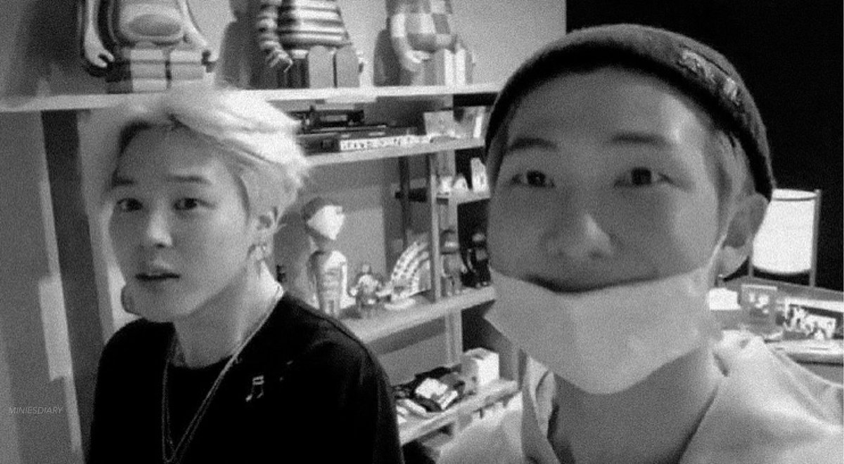 miniesdiary's tweet photo. these two 🐨🐥 https://t.co/zVpX4XNbjY