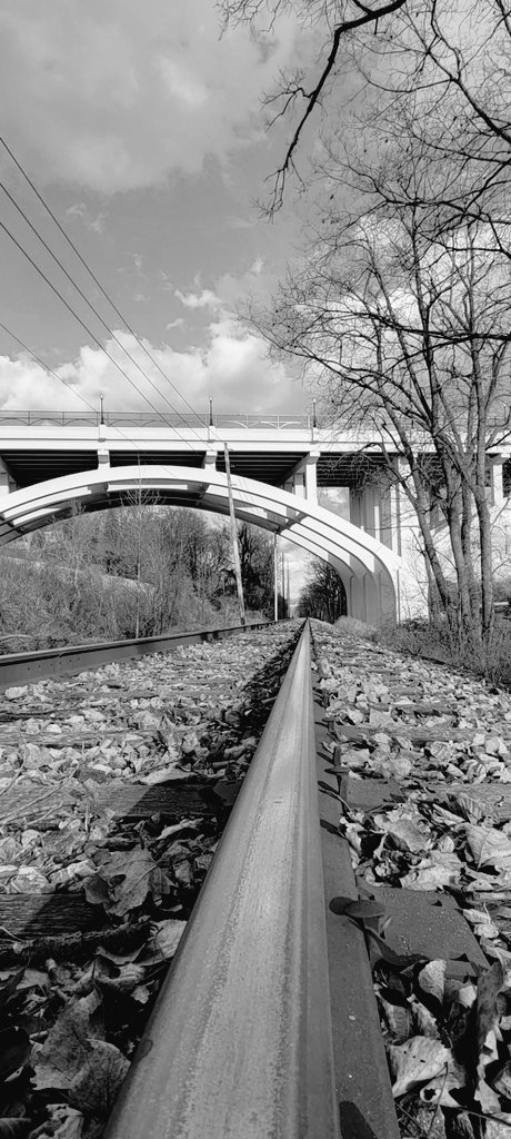 JasonKolo4's tweet photo. @VisualsbySauter #BrooksideReservation #PHOTOS #ClevelandMetroParks #photo #photographer #photography #getoutside https://t.co/b79zrgkRvG