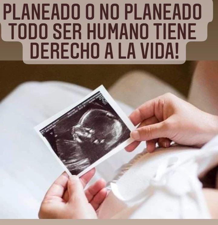 RafaelElizondom's tweet photo. La vida es el principal Derecho Humano.
#NuevoLeónEsProvida https://t.co/XaG500ubVL