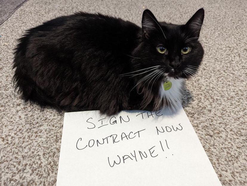 LecturersHU's tweet photo. Wallace thinks you need to SIGN THE CONTRACT NOW, WAYNE!
@HowardU @HUPrez17
#Pets4HU #HowardU #Howard #HowardUniversity #HowardStrike #UnionStrong #Local500 #HigherEdWorkersUnite #InTruthAndService https://t.co/I69oWc9tt7