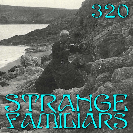 timemotheye's tweet photo. On Strange Familiars episode 320 we tell the story of Abbé Fouré, the hermit-priest of Rotheneuf, France. He carved more than 300 sculptures into the rocks on the cliffs of Rotheneuf. 

Hear it today – at https://t.co/cruoKVKVu7 or wherever you listen to podcasts. https://t.co/0MKBjuKDha