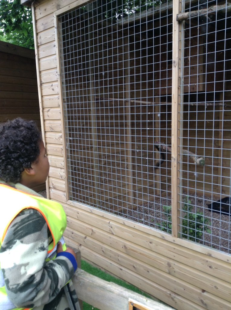 latimerprimary's tweet photo. Wow! #classEH have had a fabulous day at White Post Farm. We started the day in the birds of prey section and learnt all about owls and hawks. #2EH #WhitePostFarm https://t.co/CavrF7dEHz