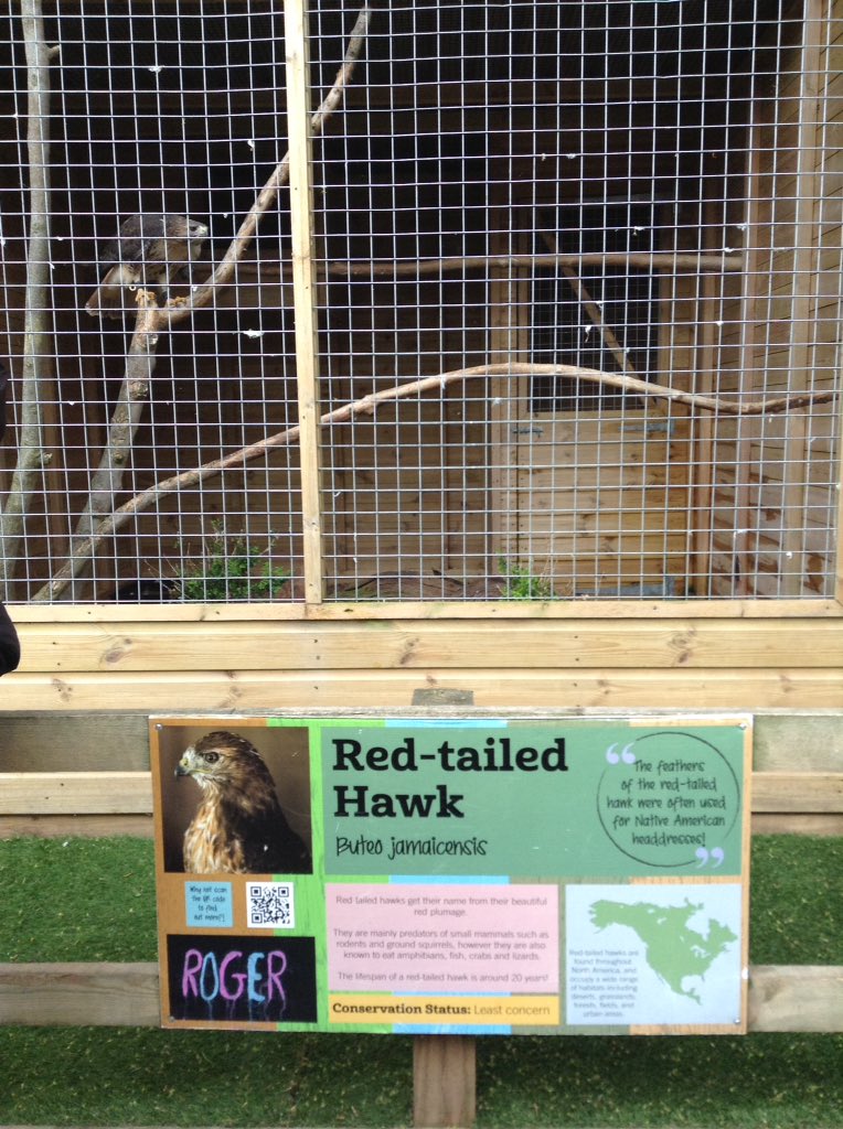latimerprimary's tweet photo. Wow! #classEH have had a fabulous day at White Post Farm. We started the day in the birds of prey section and learnt all about owls and hawks. #2EH #WhitePostFarm https://t.co/CavrF7dEHz