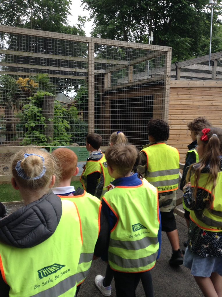 latimerprimary's tweet photo. Wow! #classEH have had a fabulous day at White Post Farm. We started the day in the birds of prey section and learnt all about owls and hawks. #2EH #WhitePostFarm https://t.co/CavrF7dEHz