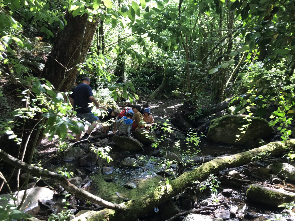 ruthi1980's tweet photo. Com hem xalat aques matí buscant invertebrats pel riu. #convis #rectoriadevallcarquera @escolasadako #PRM3SDK https://t.co/4Qe4QSGz3e