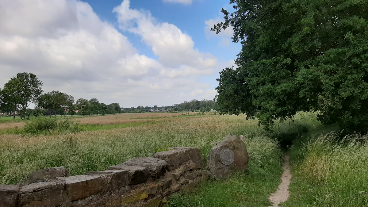 inja5248's tweet photo. vanochtend gewandeld door 't #Sweeltje en 't #Sweeltjesbos #Montfort @Limb_Landschap 💚 https://t.co/jJNNACxFlp